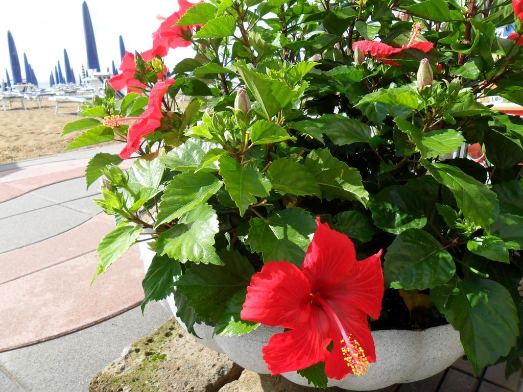 Hotel Telenia Lido di Jesolo Exteriér fotografie